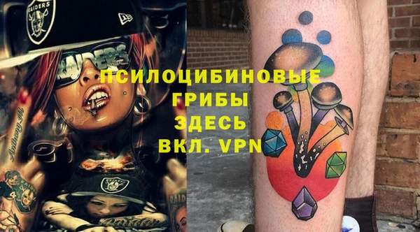 a pvp Аркадак