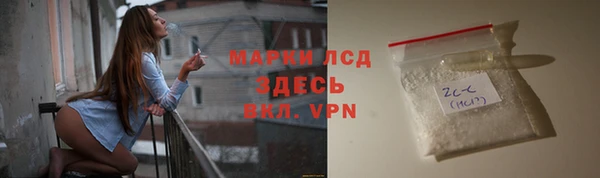 a pvp Аркадак