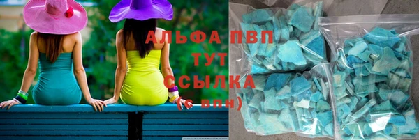 a pvp Аркадак